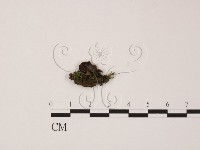 登錄號:F0003682藏品圖，第1張