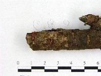 登錄號:F0003683藏品圖，第3張