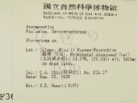 登錄號:F0003684藏品圖，第2張