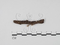 登錄號:F0003684藏品圖，第1張