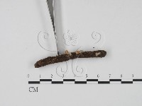 登錄號:F0003684藏品圖，第3張