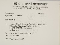 登錄號:F0003685藏品圖，第2張