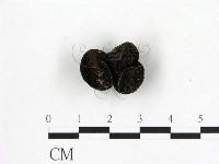 登錄號:F0003685藏品圖，第1張