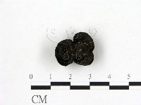 登錄號:F0003685藏品圖，第3張