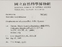 登錄號:F0003686藏品圖，第2張