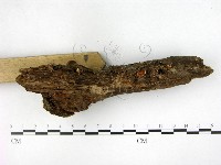 登錄號:F0003686藏品圖，第3張