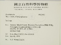 登錄號:F0003687藏品圖，第2張