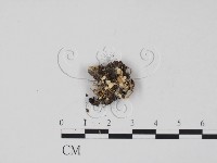 登錄號:F0003687藏品圖，第1張