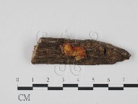 登錄號:F0003688藏品圖，第1張