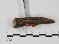 登錄號:F0003688藏品圖，第3張