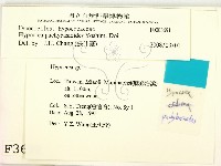 登錄號:F0003691藏品圖，第2張