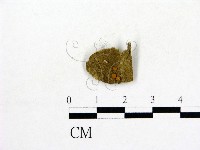 登錄號:F0003691藏品圖，第1張