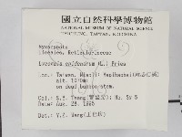 登錄號:F0003693藏品圖，第2張