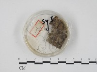 登錄號:F0003693藏品圖，第1張