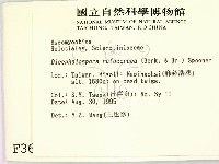 登錄號:F0003695藏品圖，第2張