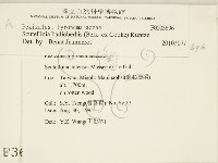 登錄號:F0003696藏品圖，第2張