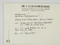 登錄號:F0003697藏品圖，第2張