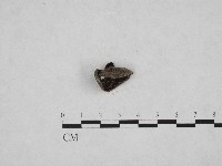登錄號:F0003698藏品圖，第3張