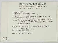 登錄號:F0003699藏品圖，第2張