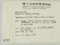 登錄號:F0003700藏品圖，第2張