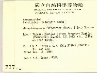 登錄號:F0003701藏品圖，第2張