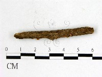 登錄號:F0003701藏品圖，第3張