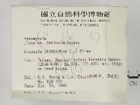 登錄號:F0003702藏品圖，第2張