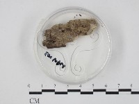 登錄號:F0003702藏品圖，第1張