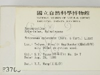 登錄號:F0003703藏品圖，第2張