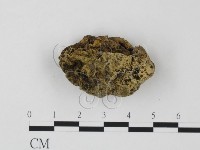 登錄號:F0003703藏品圖，第1張