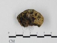 登錄號:F0003703藏品圖，第3張