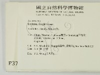 登錄號:F0003704藏品圖，第2張