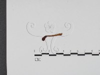 登錄號:F0003704藏品圖，第3張