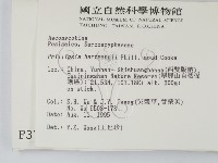 登錄號:F0003705藏品圖，第2張