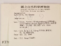 登錄號:F0003706藏品圖，第2張