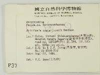 登錄號:F0003707藏品圖，第2張