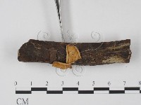 登錄號:F0003707藏品圖，第3張