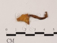 登錄號:F0003709藏品圖，第3張