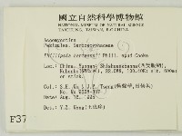 登錄號:F0003711藏品圖，第2張