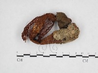 登錄號:F0003712藏品圖，第1張