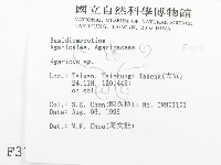 傘菌屬藏品圖，第2張