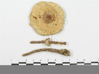 登錄號:F0003715藏品圖，第3張