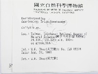 登錄號:F0003716藏品圖，第2張