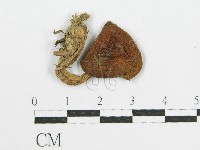 登錄號:F0003716藏品圖，第3張