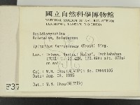 登錄號:F0003717藏品圖，第2張