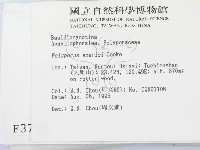 登錄號:F0003718藏品圖，第2張