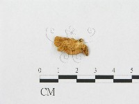 登錄號:F0003718藏品圖，第1張