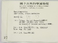 小菇屬藏品圖，第2張