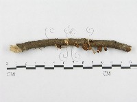登錄號:F0003720藏品圖，第1張