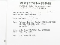 傘菌屬藏品圖，第2張
